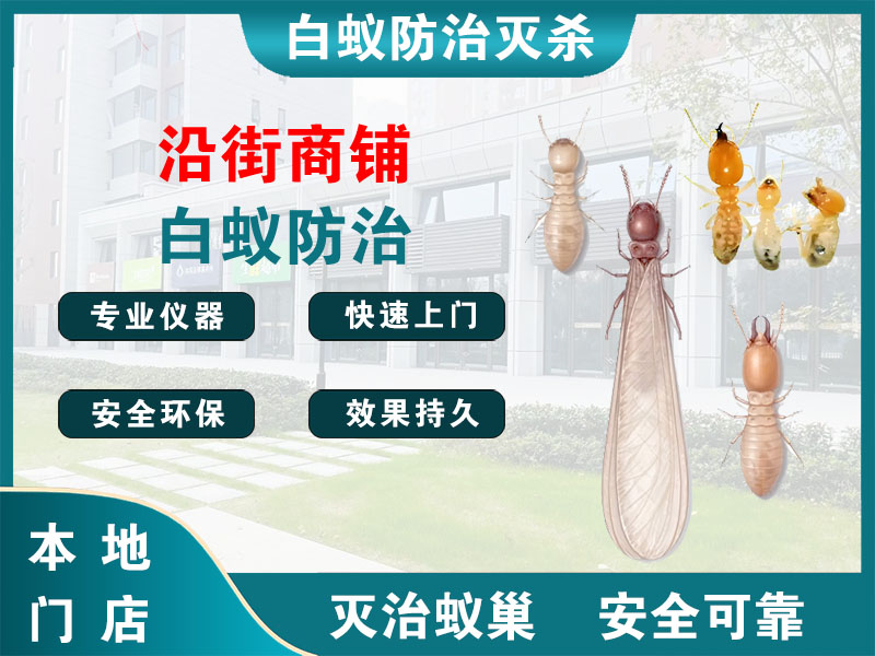 奉化区沿街商铺白蚁防治