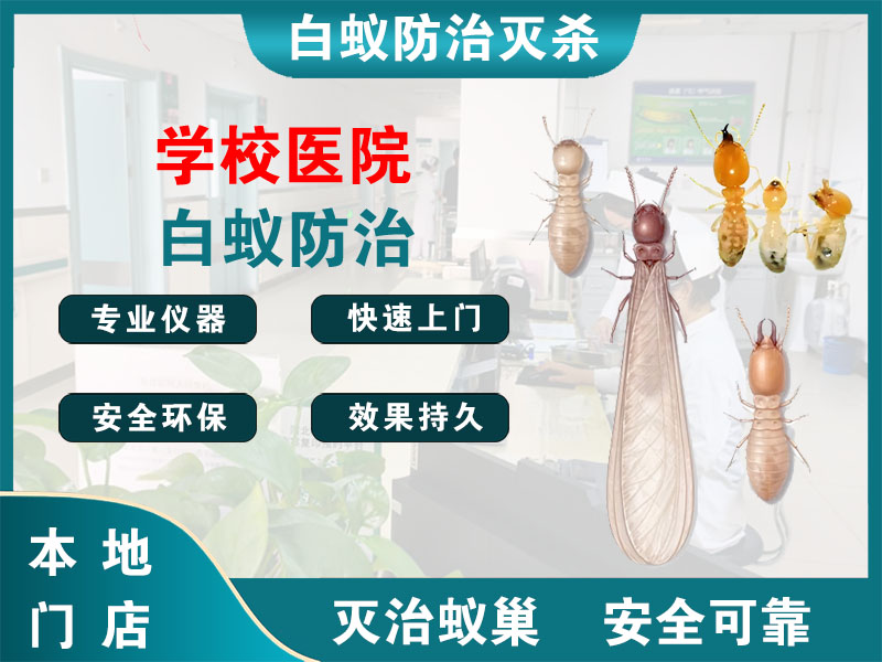 奉化区学校医院白蚁防治