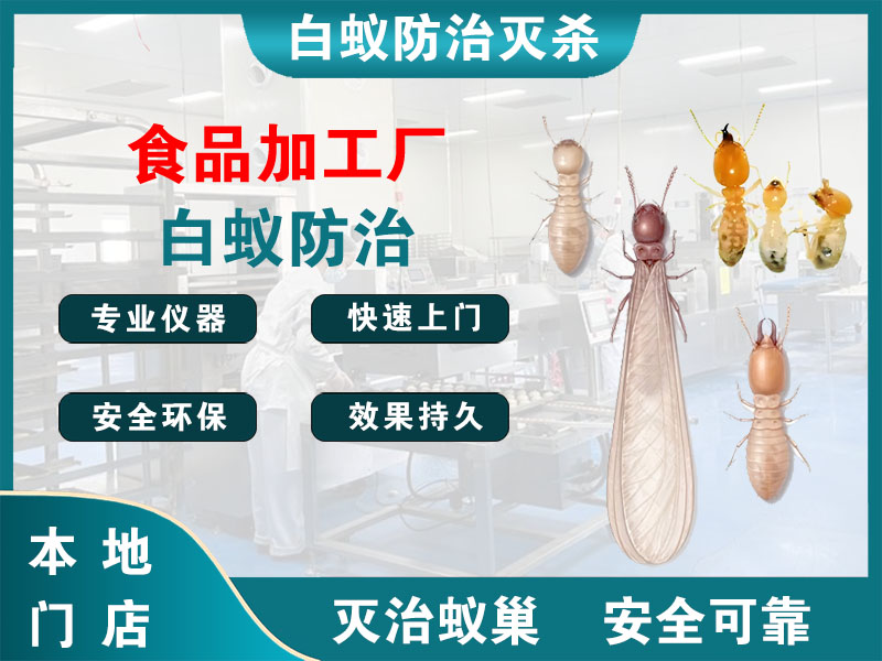 奉化区食品加工厂白蚁防治
