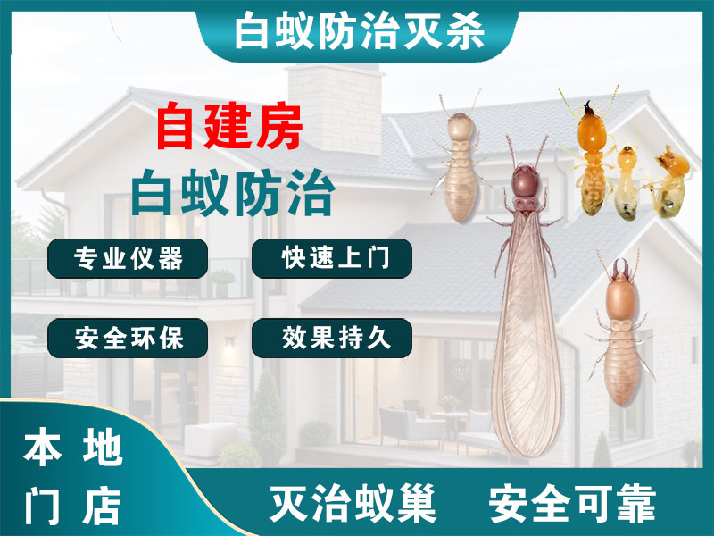 奉化区自建房白蚁防治