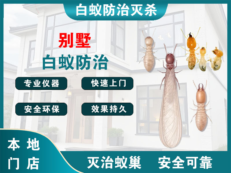 奉化区别墅白蚁防治